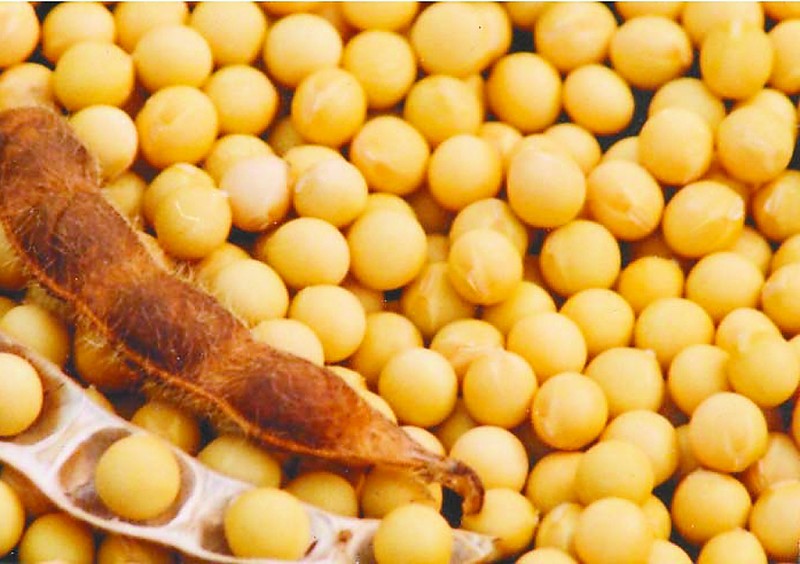 ��ե�ͻ������󶹵Ĵ�������