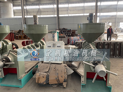 ������ѿե�ͻ�