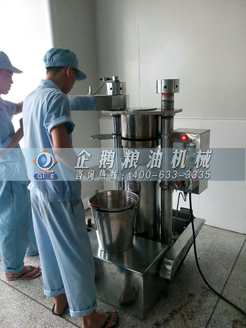 ����ե�ͻ�