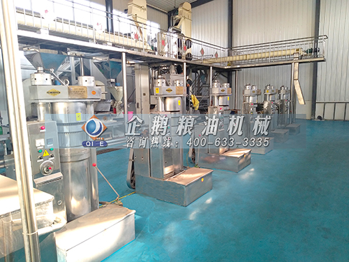 ȫ�Զ�ե�ͻ�������